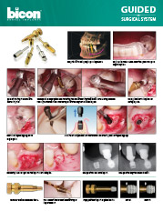 SynthoGraft Manual