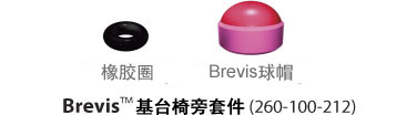 Brevis™ Abutment Restorative Components